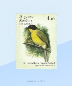 Sri Lanka Black-capped Bulbul (Pycnonotus melanicterus) Stamp