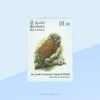 Chestnut-backed Owlet (Glaucidium castanotum) Stamp