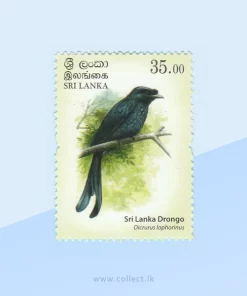 Sri Lanka Drongo (Dicrurus lophorinus) Stamp