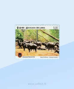 Water Buffalo (Bubalus bubalis) Stamp Sri Lanka