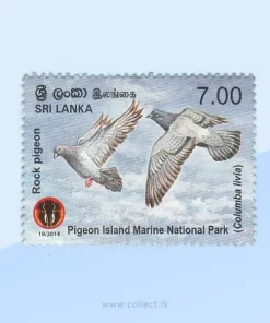 Rock Dove (Columba livia) Stamp Sri Lanka 2014