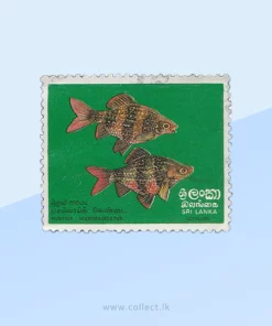 Black Ruby Barb (Puntius nigrofasciatus) Stamp Sri Lanka