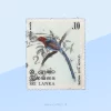 Ceylon Blue Magpie (Urocissa ornata) Stamp Sri Lanka