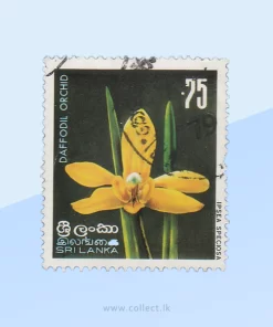 Ipsea speciosa - Daffodil orchid Stamp Sri Lanka