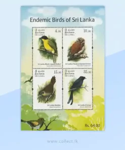 Endemic Birds of Sri Lanka2017