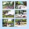 Wasgamuwa National Park set SS MNH2019