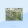 Lyre Head Lizard (Lyriocephalus scutatus) Stamp Sri Lanka