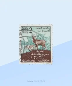 Ruhuna National Park Stamp Sri Lanka